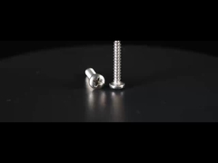 Cross Recessed stainless steel Pan Head Mesin Sekrup Self Tapping DIN 7981